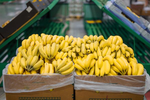 使い捨ての温度データロガーは、果物の品質を確保します